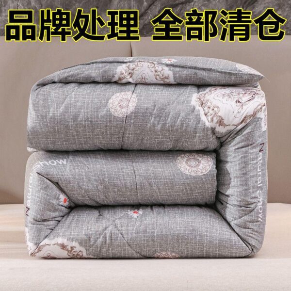 12.12 Winter quilt thickened quilt dormitory household warm quilt core single double warm winter spring and autumn quilt student home - Image 3