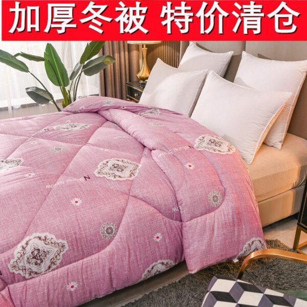 Clearance quilt winter quilt single double winter warm thickened winter quilt student ultra-thick spring and autumn brushed quilt