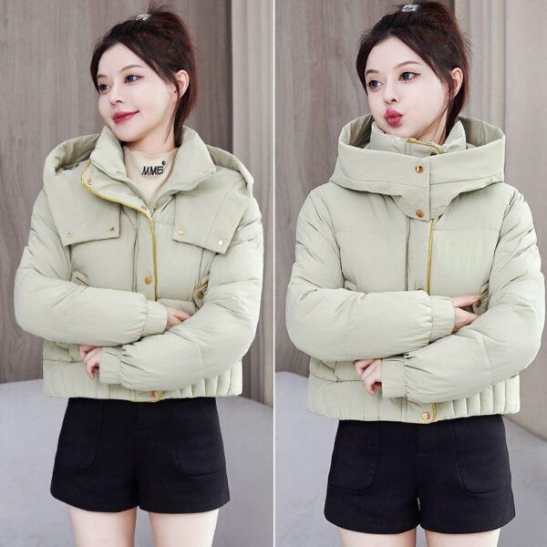 2024 winter new down cotton jacket stand-up collar short winter clothing loose thickened bread small jacket cotton clothing - Image 2