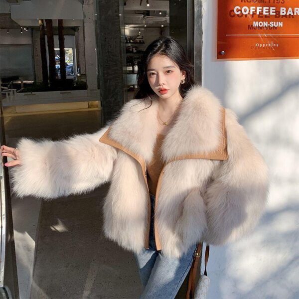 Luxury Korean fur coat women's winter new plush thickened fur coat furry foreign style environmental protection foreign style - Image 4