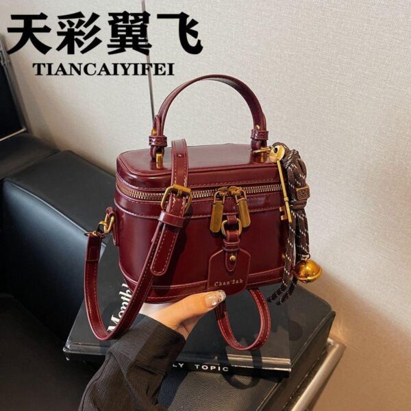 Tiancai wing flying texture retro small bag women 2024 new autumn and winter popular cross-body bag handheld small square bag - Image 3